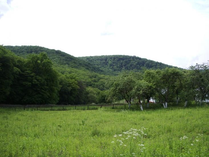 Кринцілів з panoramio.com - Кринцілів