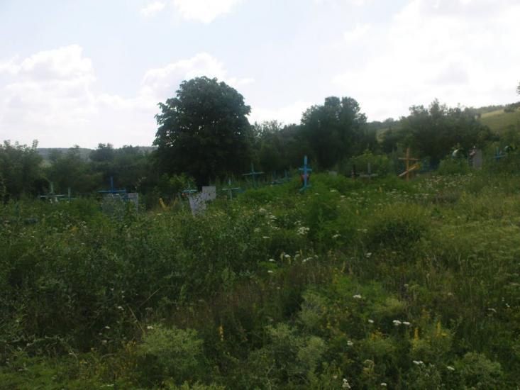 Катеринка з panoramio.com - Катеринка
