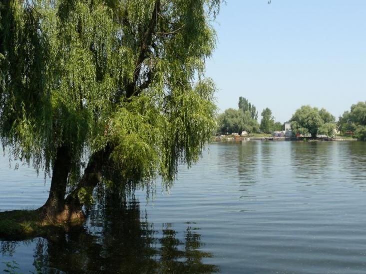Градизьк з panoramio.com - Gradyzk