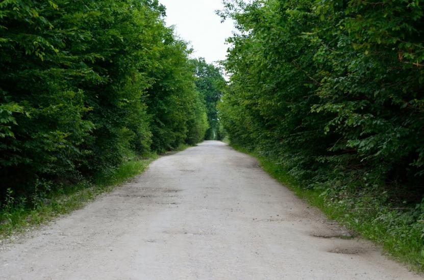 Раковець з panoramio.com - Раковець