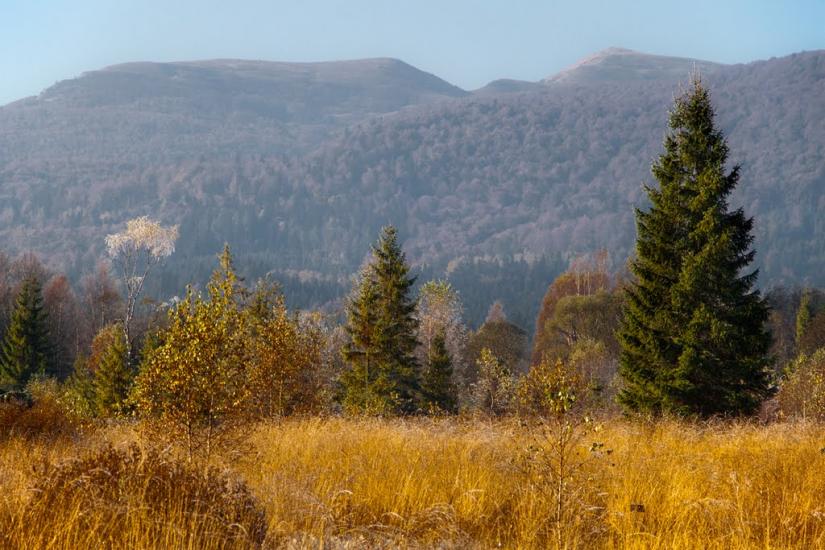 Шандровець з panoramio.com - Shandrovets