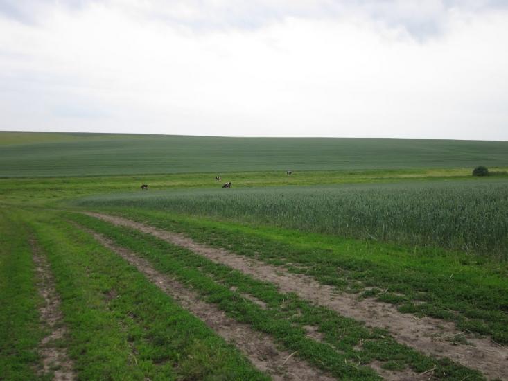 Половинники з panoramio.com - Половинники