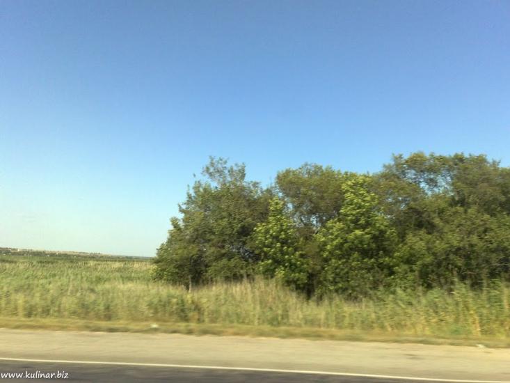 Григорівка з panoramio.com - Григоровка