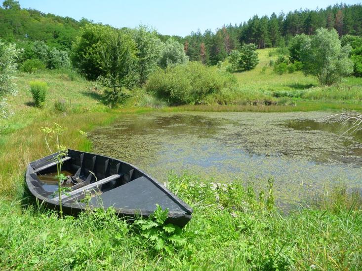 Балико-Щучинка з panoramio.com - Балыко-Щучинка