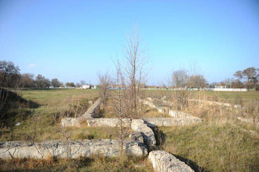 Нова Оржиця з panoramio.com - Нова Оржиця