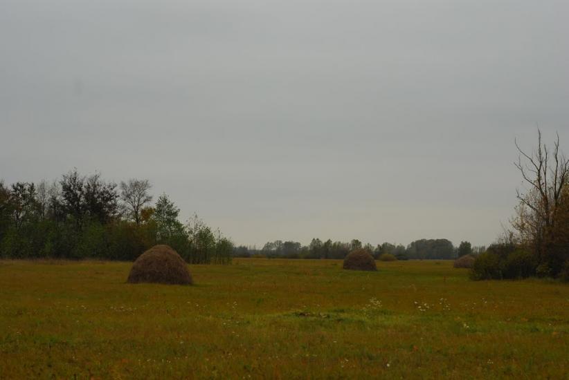Остапівка з panoramio.com - Остаповка