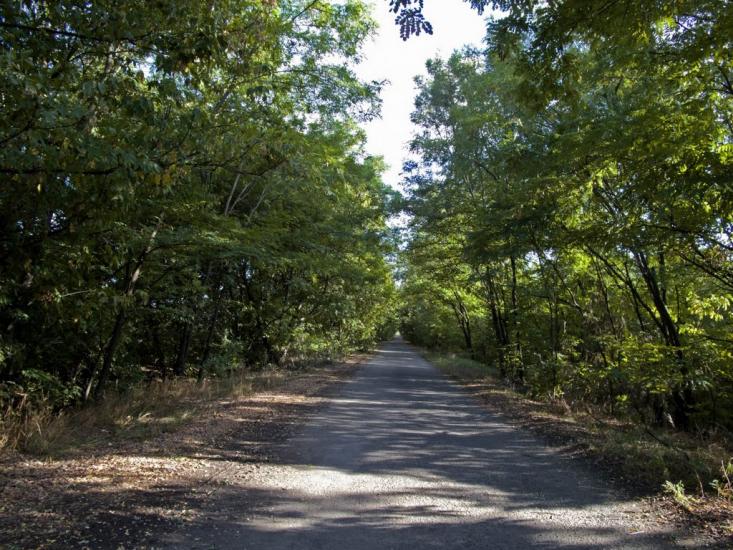 Гірницьке з panoramio.com - Горницкое