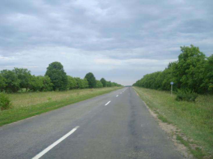 Новий Глібів з panoramio.com - Новий Глібів