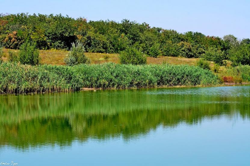 Комінтернівське з panoramio.com - Kominternivske