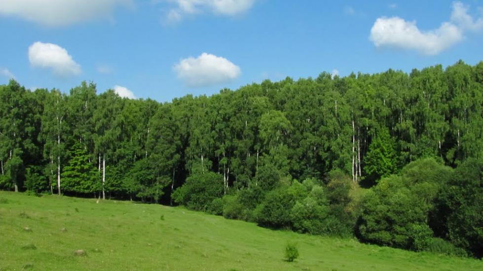 Вугли з panoramio.com - Углы