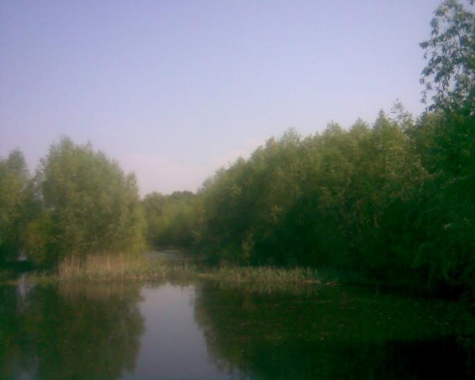 Синява з panoramio.com - Synyava