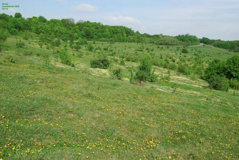 Глинське з panoramio.com - Глинське