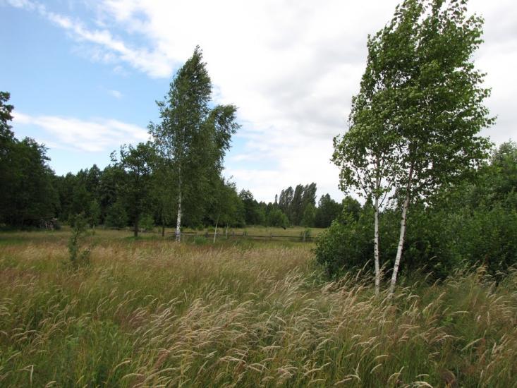 Кам'янка з panoramio.com - Камянка