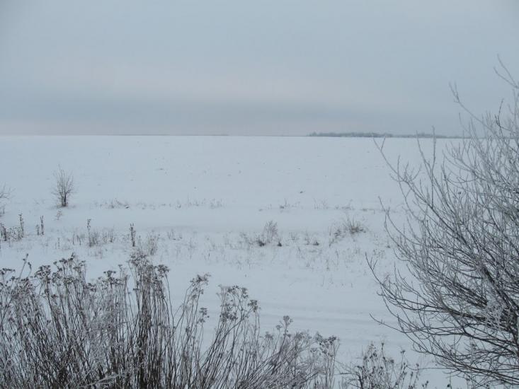 Криштопівка з panoramio.com - Криштопівка