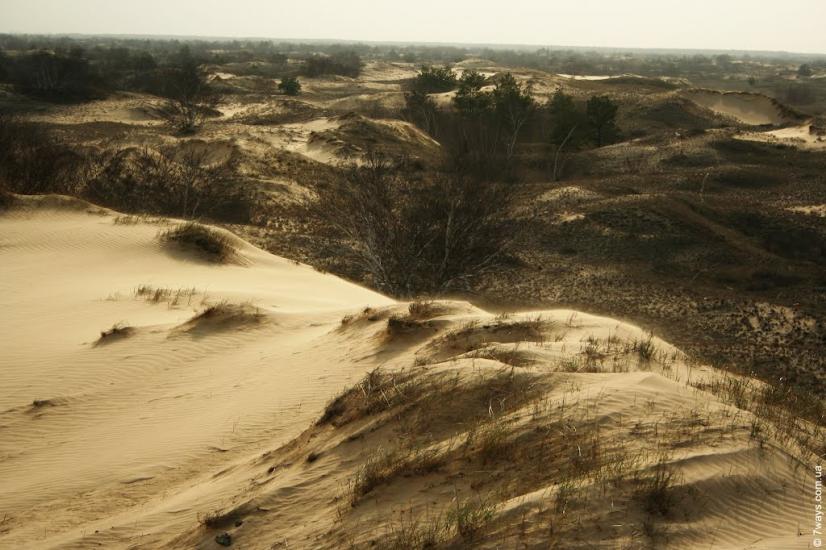 Козачі Лагері з panoramio.com - Козачие Лагеря