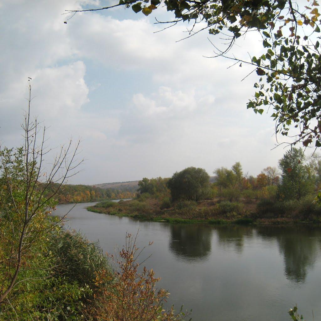 Берегове з panoramio.com - Береговое