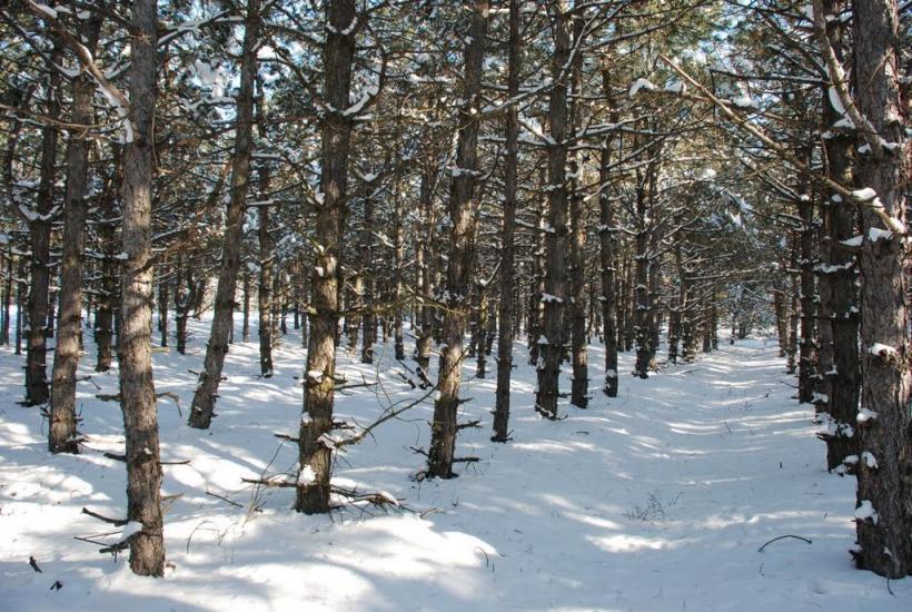 Баловне з panoramio.com - Баловное