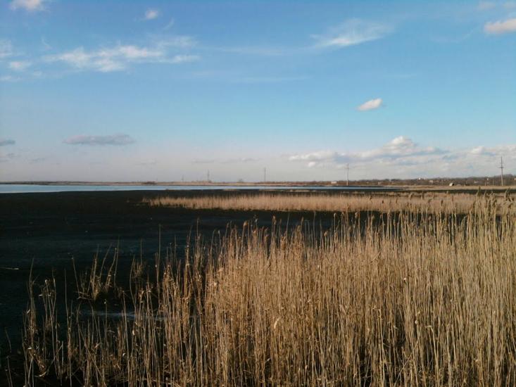 Ясинувата з panoramio.com - Ясинувата