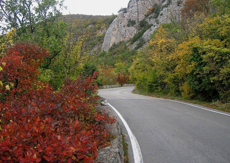 Санаторне з panoramio.com - Санаторне