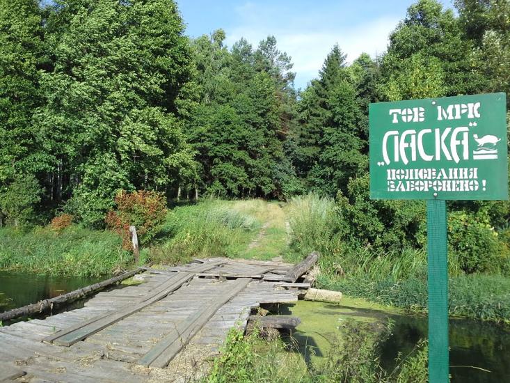 Скригалівка з panoramio.com - Скригалівка