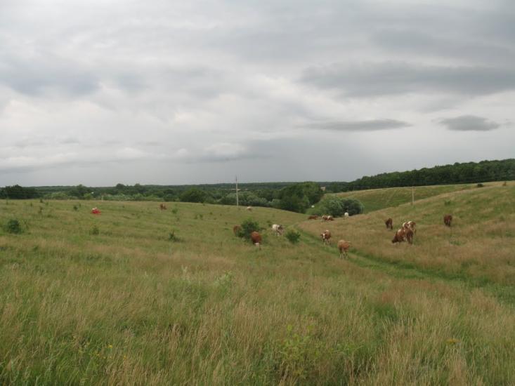 Криштопівка з panoramio.com - Криштопівка