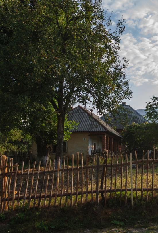 Забрідь з panoramio.com - Забрідь