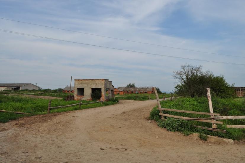 Малі Селменці з panoramio.com - Малые Селлменцы