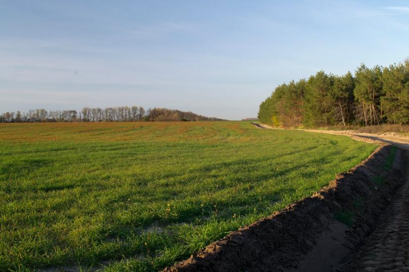 Іскра з panoramio.com - Искра