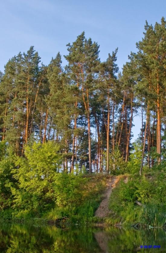 Велика Чернеччина з panoramio.com - Велика Чернеччина