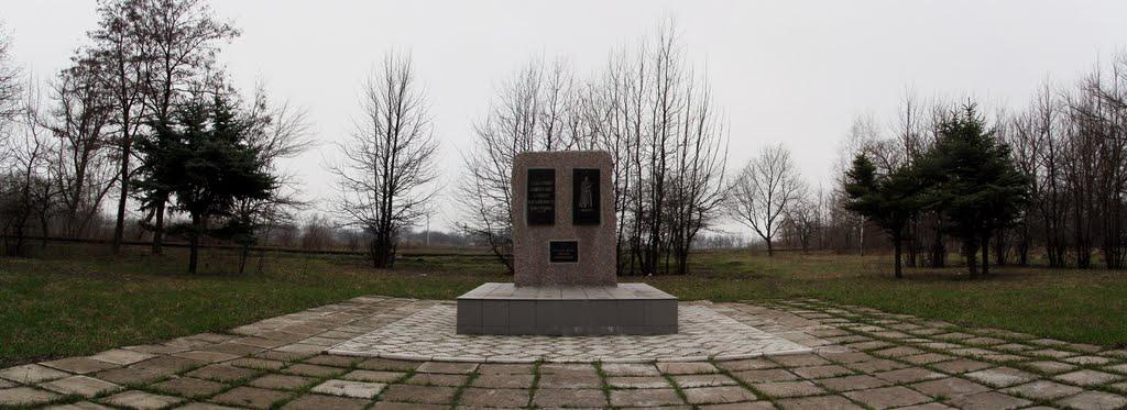 Кринична з panoramio.com - Кринична