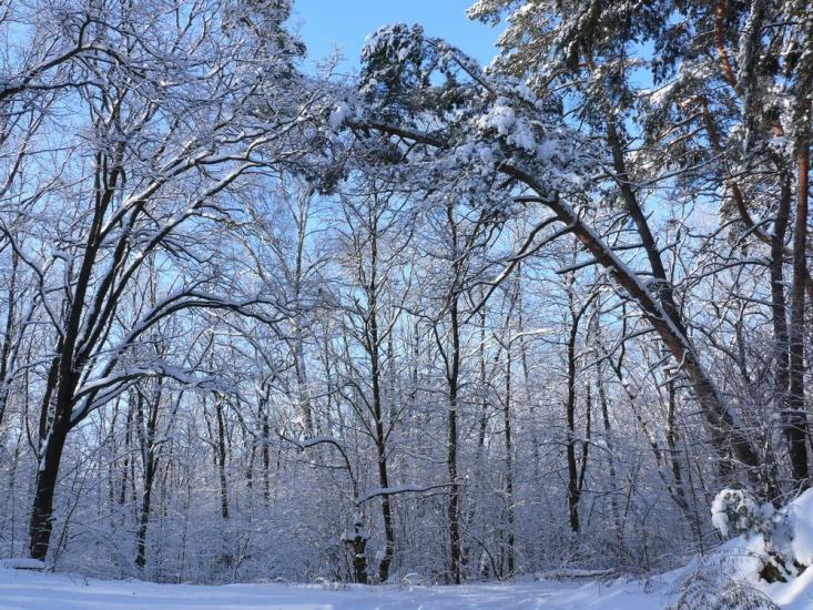 Коропове з panoramio.com - Коропово