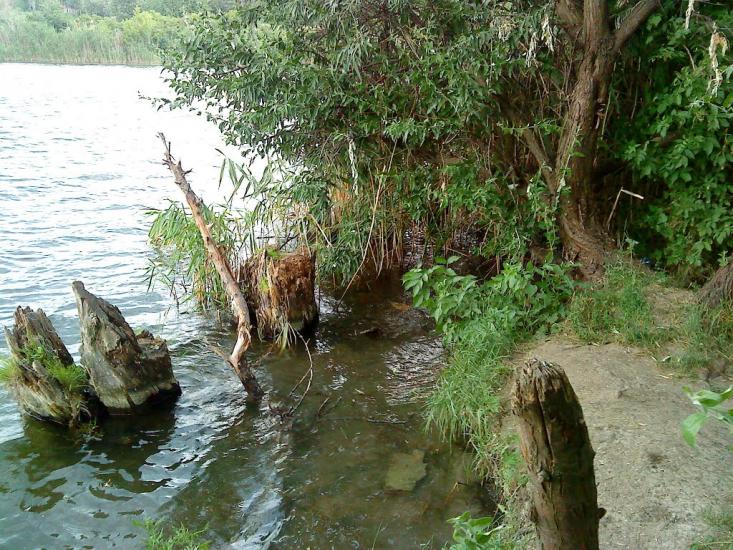 Домаха з panoramio.com - Домаха