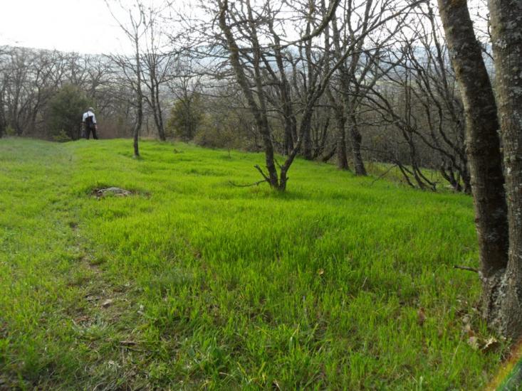 Орлине з panoramio.com - Орлине