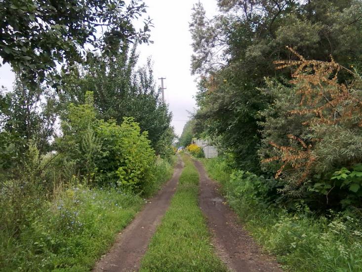 Бобрівка з panoramio.com - Бобрівка