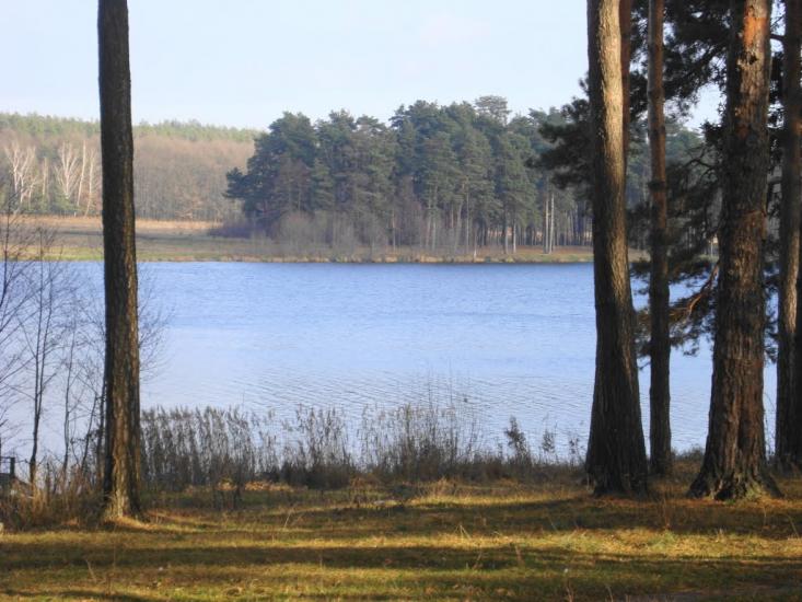 Іволжанське з panoramio.com - Иволжанское