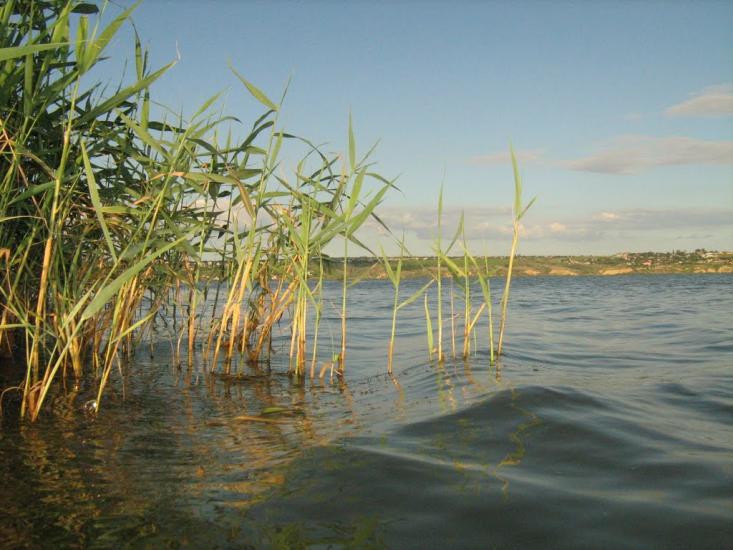Мале з panoramio.com - Male