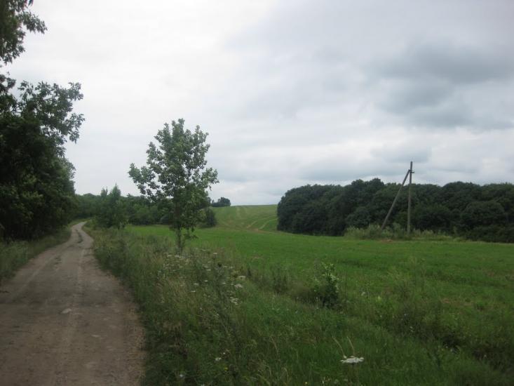 Садки з panoramio.com - Садки