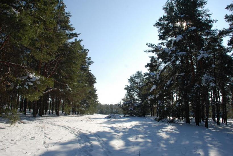 Баловне з panoramio.com - Баловное