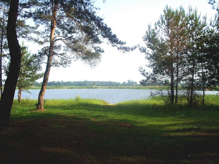 Цитуля з panoramio.com - Цитуля