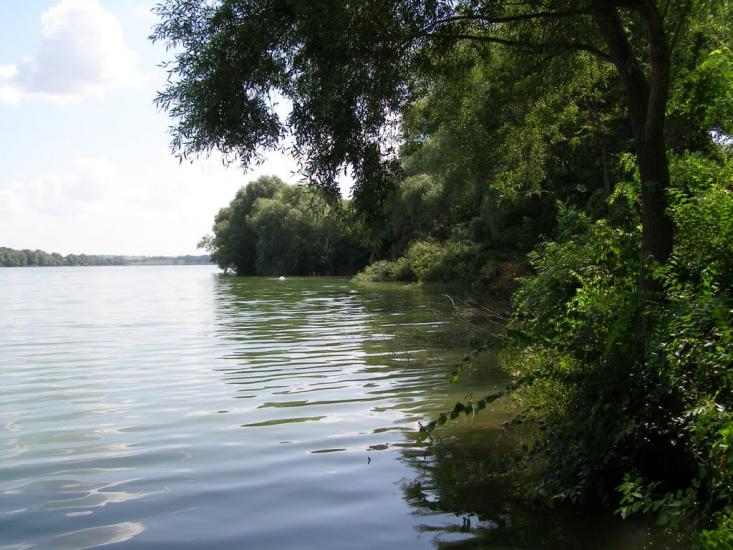 Черняки з panoramio.com - Черняки