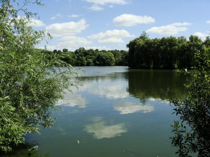 Черемошне з panoramio.com - Cheremoshne