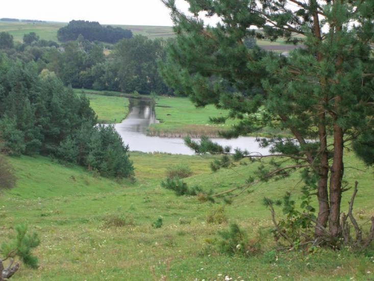 Лисогірка з panoramio.com - Лысогорка