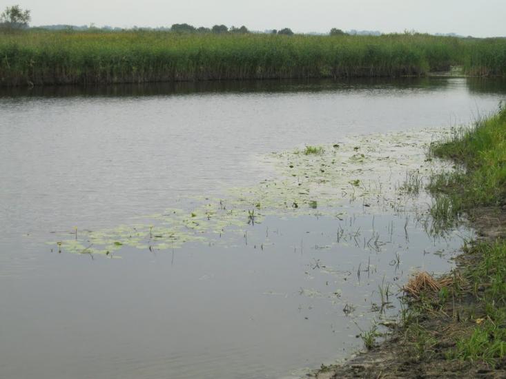 Черче з panoramio.com - Черче