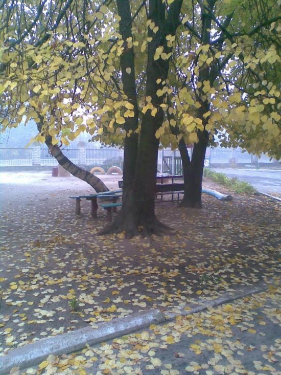 Біленьке з panoramio.com - Біленьке