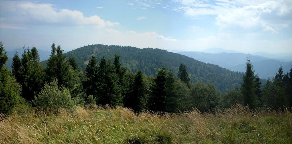 Орявчик з panoramio.com - Oryavchyk