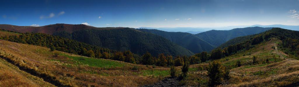 Вовчий з panoramio.com - Волчий