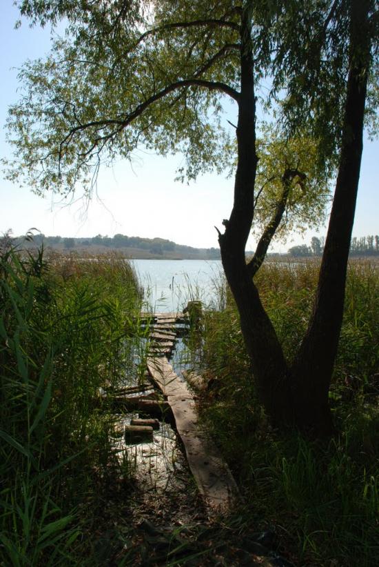 Черняки з panoramio.com - Черняки