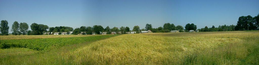 Березівка з panoramio.com - Березівка