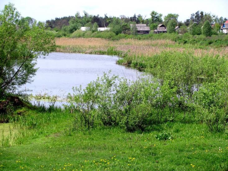 Сарни з panoramio.com - Сарни