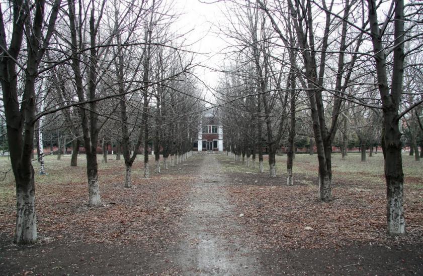 Оріхове з panoramio.com - Ореховое